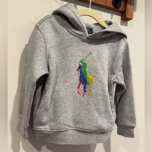 NWT Polo Ralph Lauren toddler Logo Rainbow Print Sweatshirt Size 3 Gray Hoodie - Picture 5 of 7